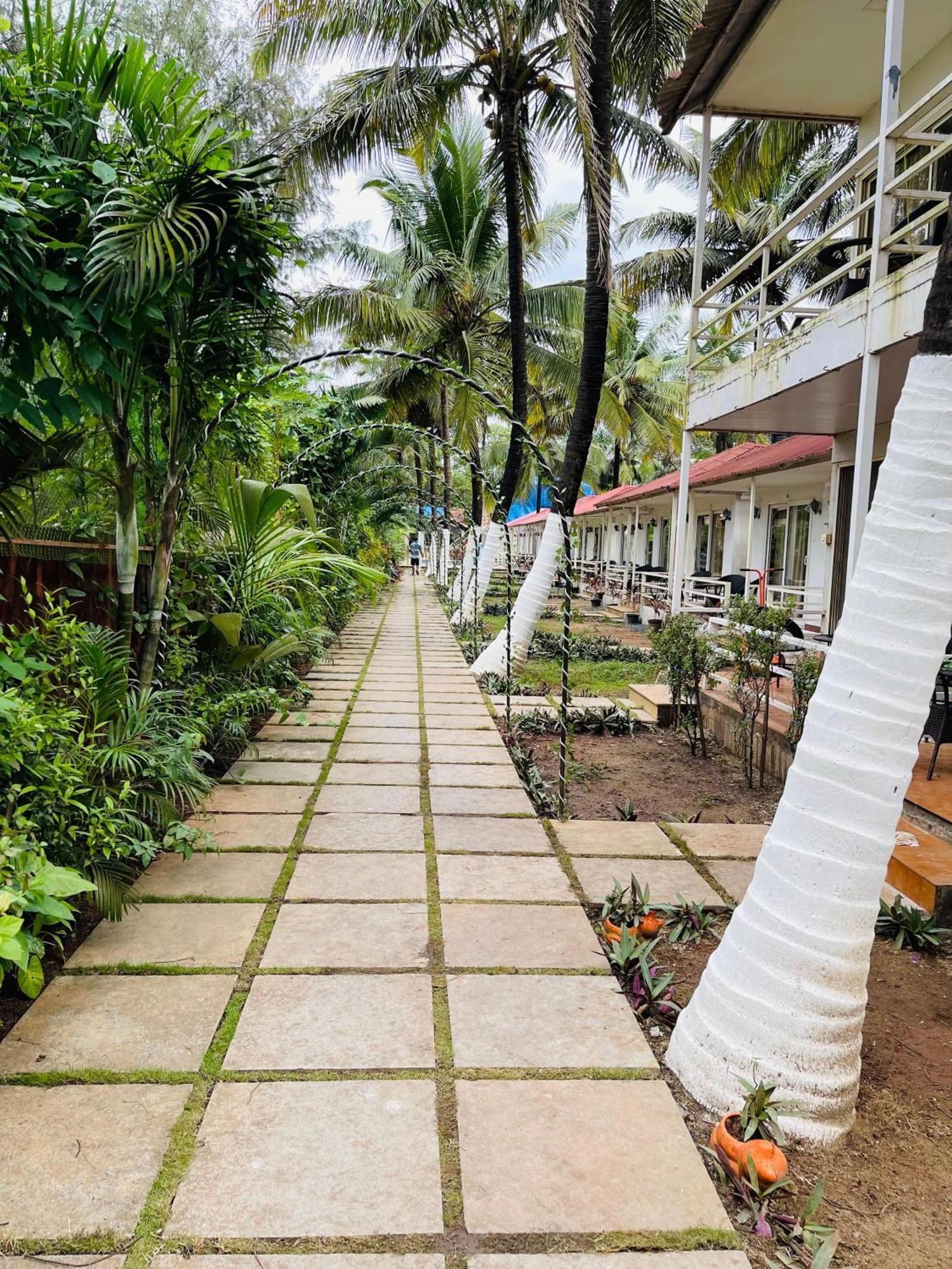 Arabian Sea Beach Resort Morjim Εξωτερικό φωτογραφία