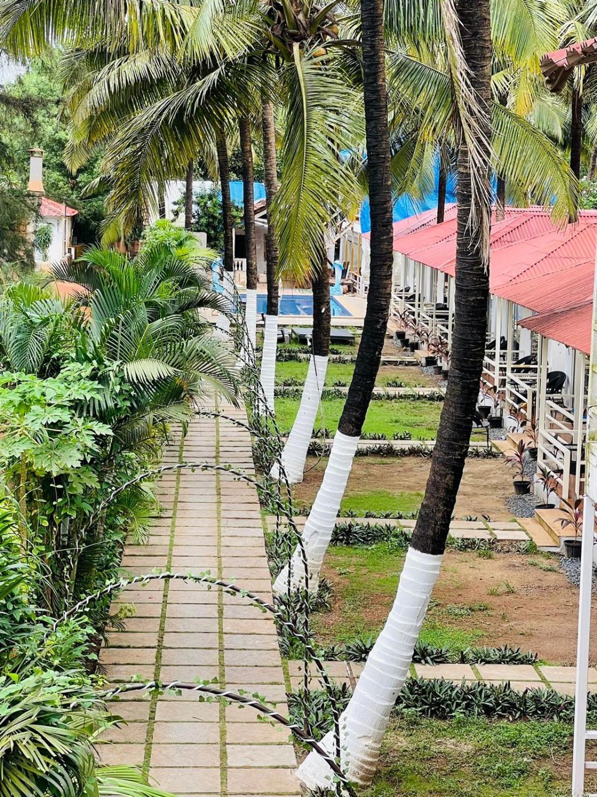 Arabian Sea Beach Resort Morjim Εξωτερικό φωτογραφία