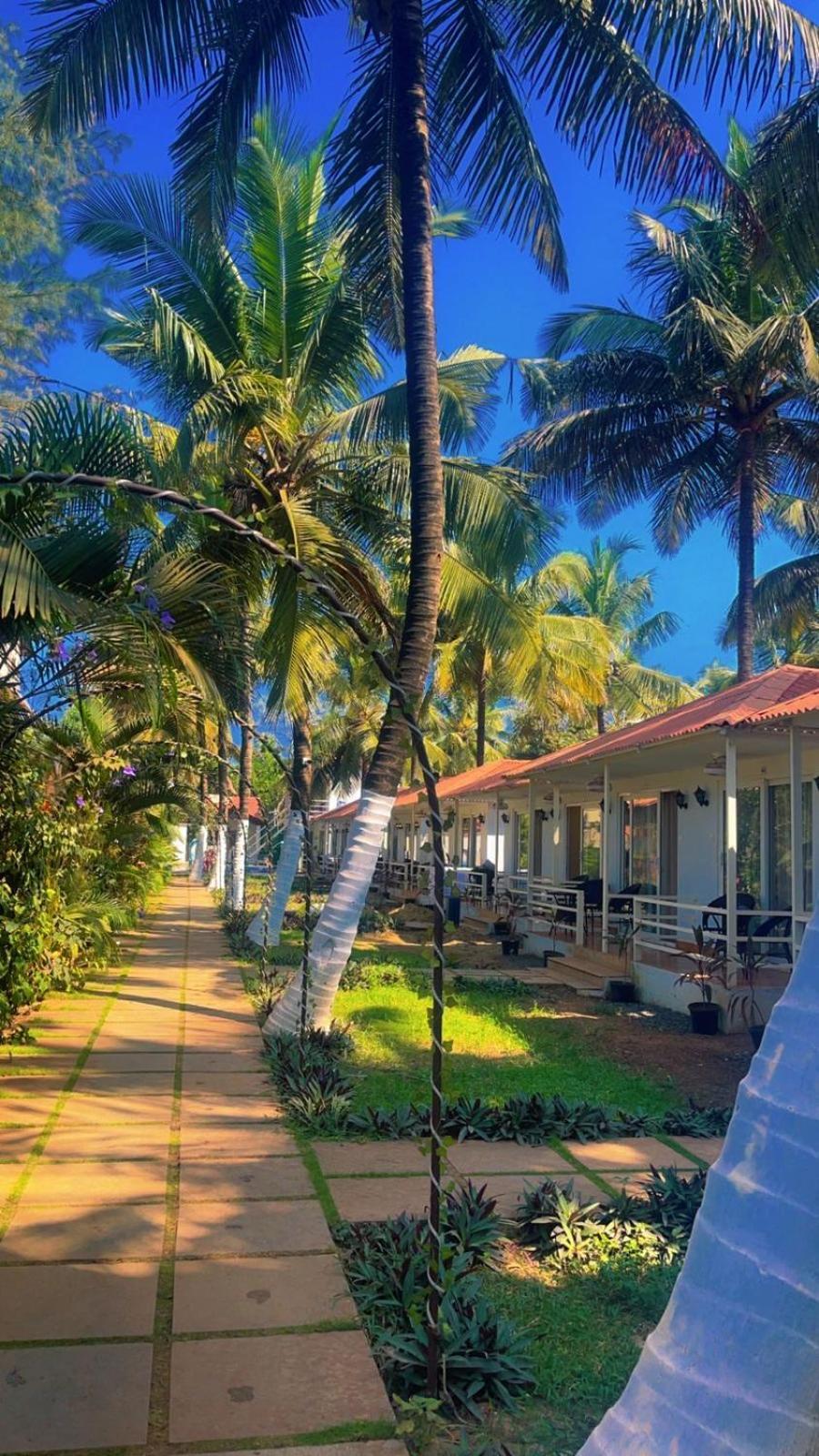 Arabian Sea Beach Resort Morjim Εξωτερικό φωτογραφία